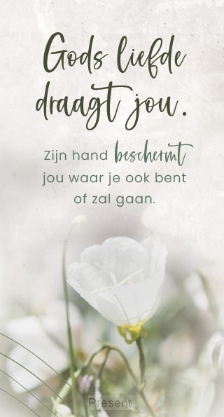 Boekenlegger: Gods liefde draagt jou