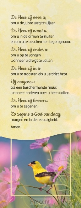 Boekenlegger: Zegen van St. Patrick