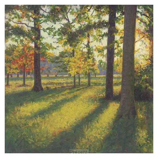 Wenskaart: Strijklicht Reigersbos