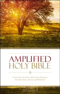 Amplified Bible Colour Paperback