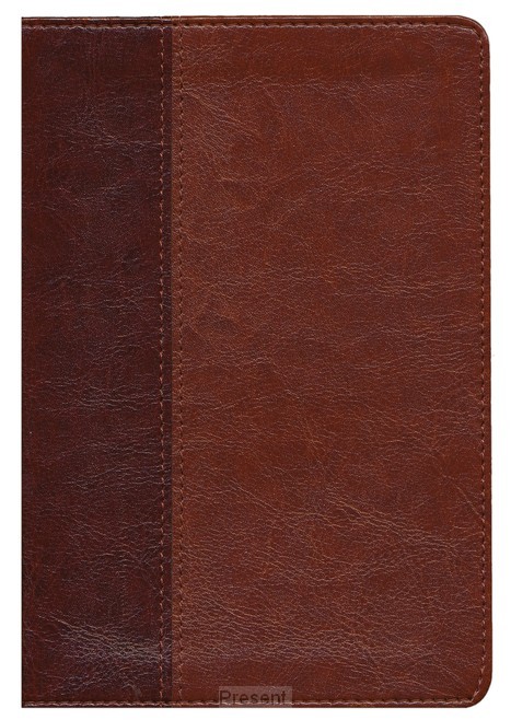 NLT Slimline reference Bible indexed