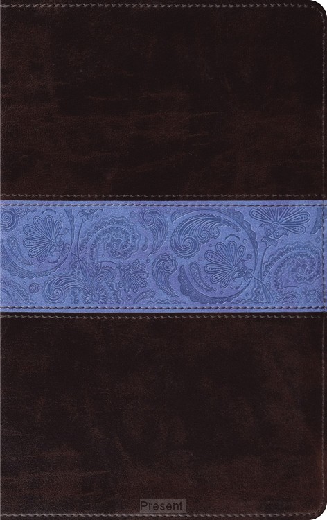 ESV – Thinline Bible chocolate/blue