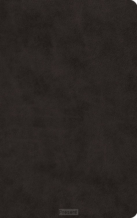 ESV-LP Value Thinline