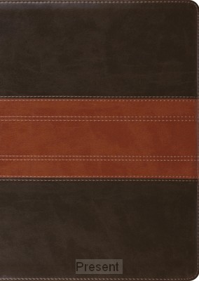 ESV-Study Bible Large Print Trutoe