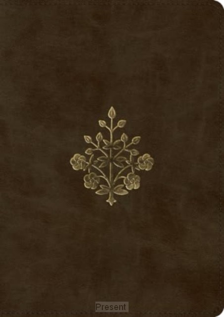 ESV-Studybible Large Print Olive Branch
