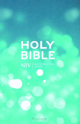 NIV - Popular Bible Blue hardcover