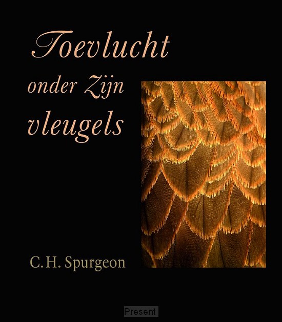 Toevlucht onder Zijn vleugels