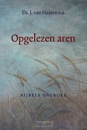 Bijbels dagboek