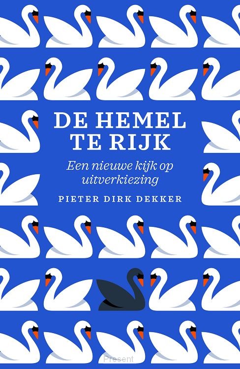 Hemel te rijk