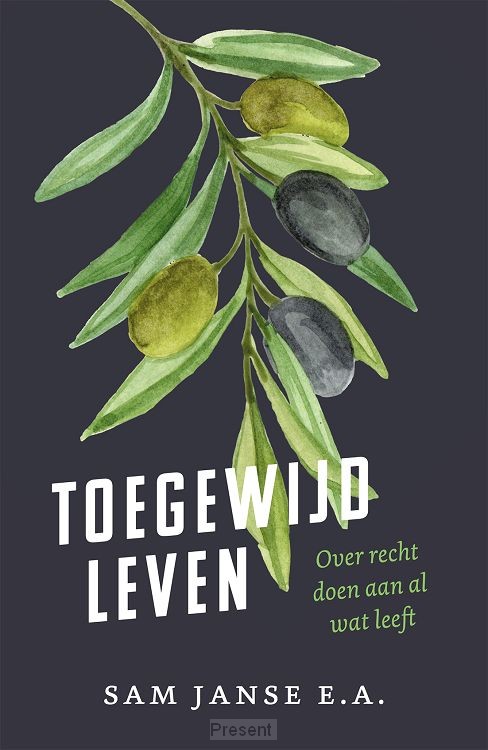 Toegewijd leven
