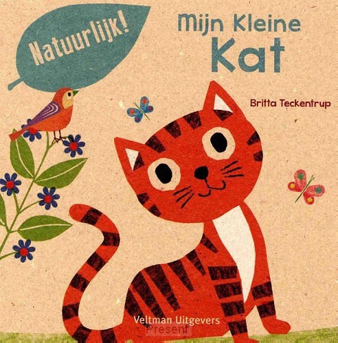 Mijn kleine kat