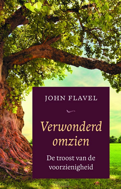 Verwonderd omzien