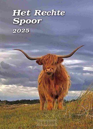 Rechte spoor 2025