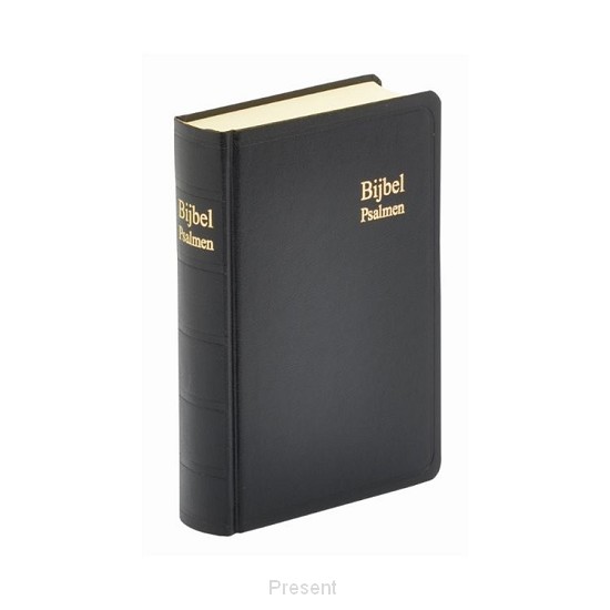 Schoolbijbel met Psalmen SV, synoniemen