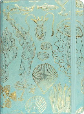 Journal: Sealife Sketches