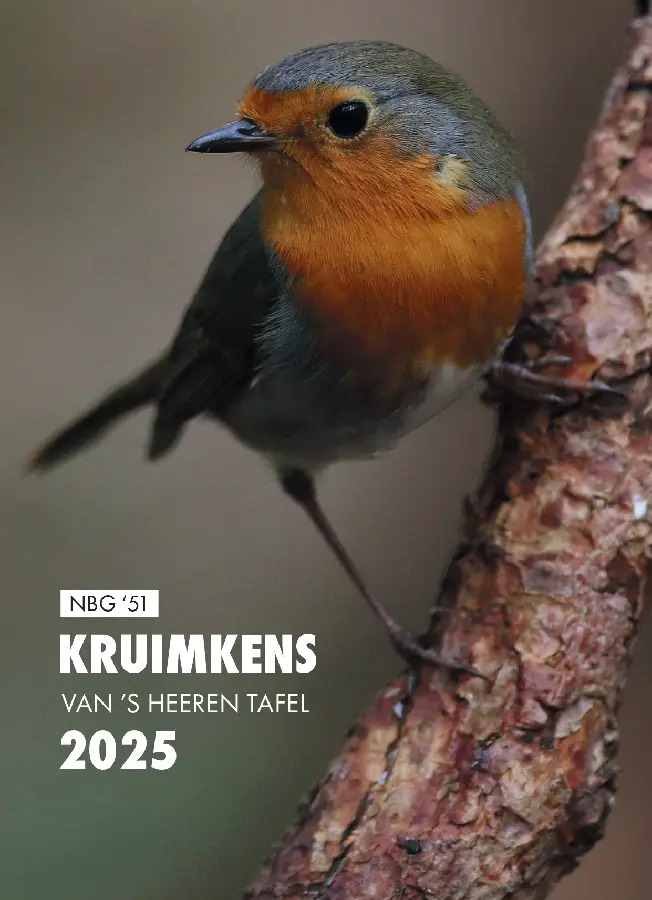 Kruimkens van 's Heeren tafel 2025
