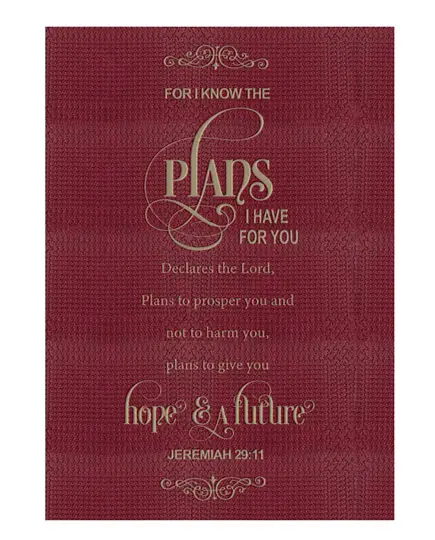 Journal: For I know the plans