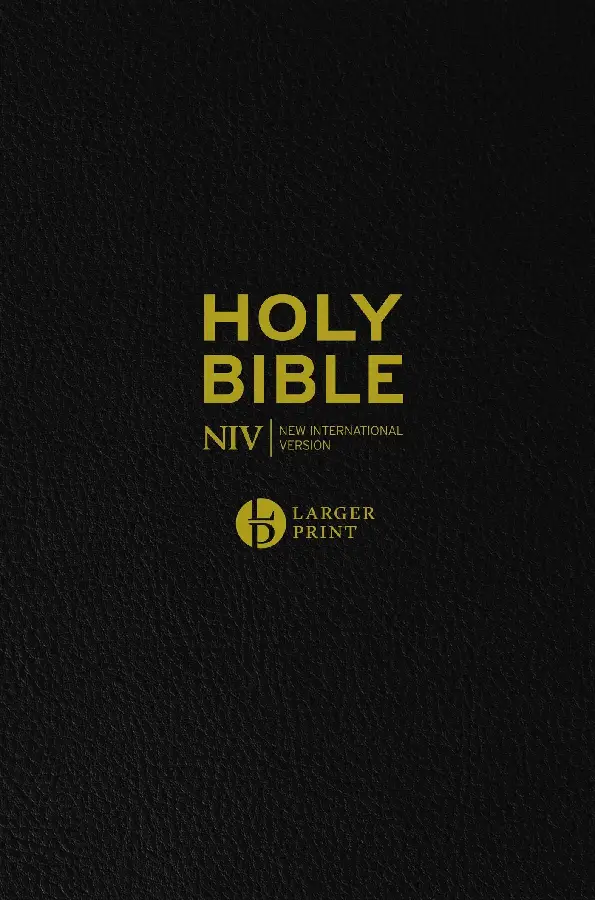 NIV - Larger Print Bible Black Imitation