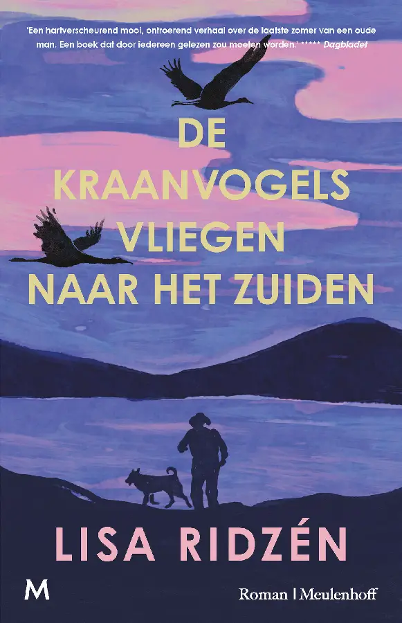 Kraanvogels vliegen naar het zuiden