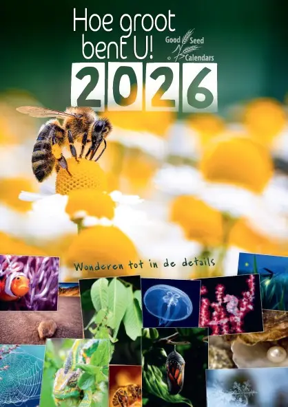 Posterkalender Hoe groot bent U! 2025