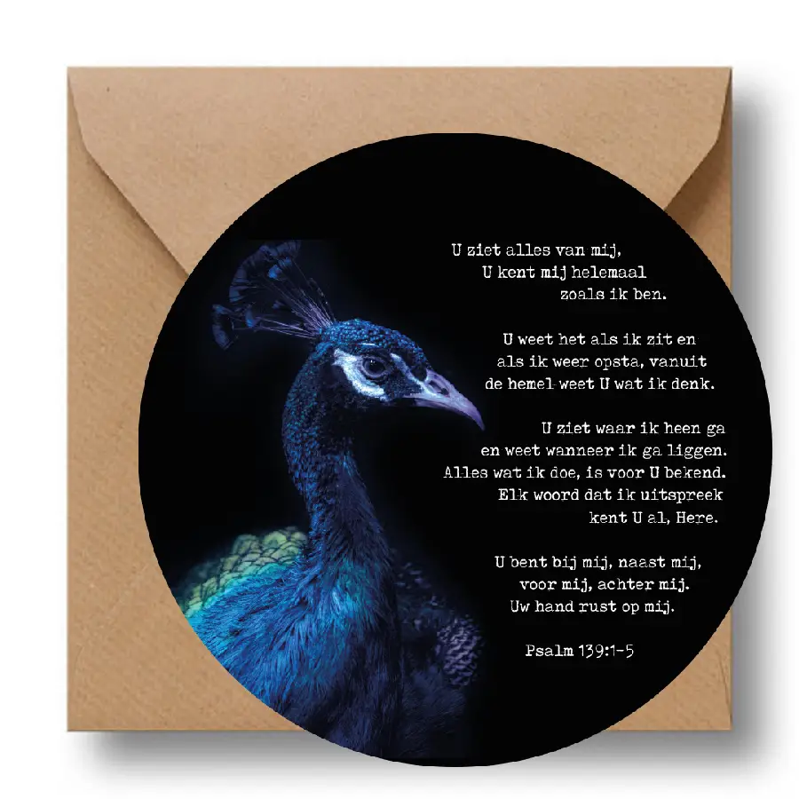 Cirkelkaart: Tel je zegeningen