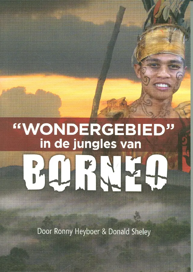 Wondergebied in de jungles van borneo