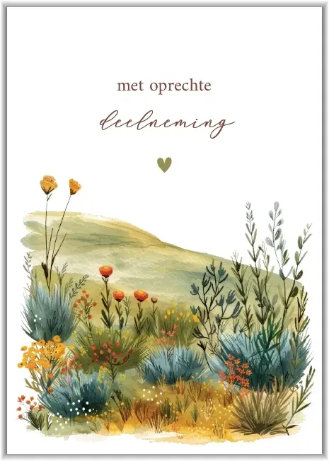 Ik kan je nu niet omarmen