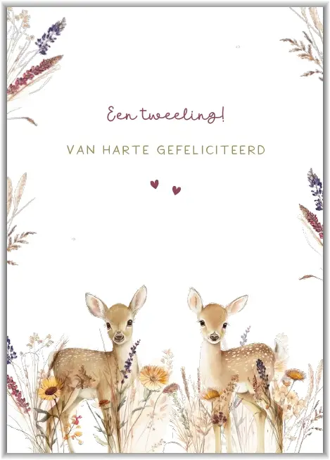 Enkele kaart: Tweeling