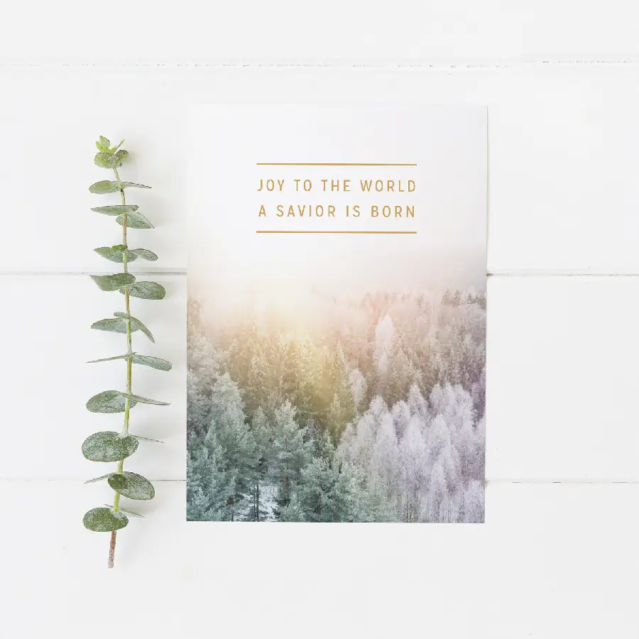 Enkele kaart: Joy to the world