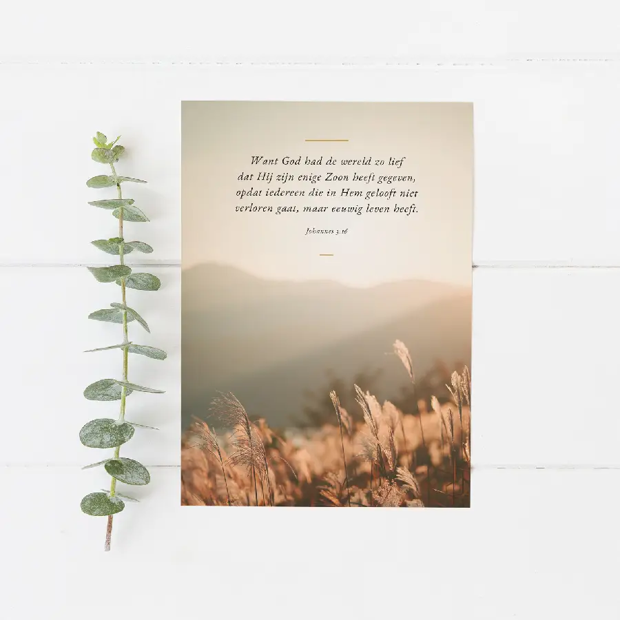 Enkele kaart: Want God had de wereld
