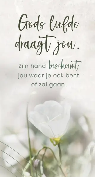 Boekenlegger: Gods liefde draagt jou