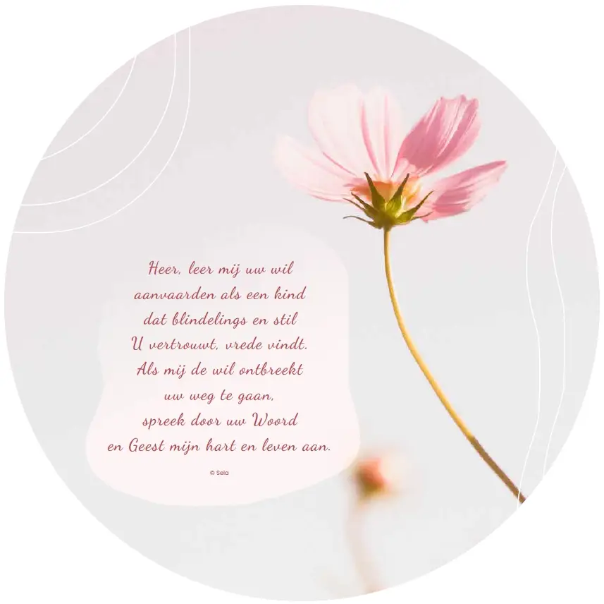 Muurcirkel: Heer, leer mij Uw weg