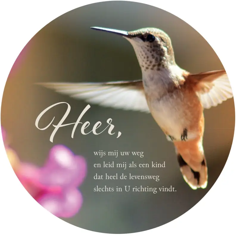 Muurcirkel: Heer wijs mij uw weg