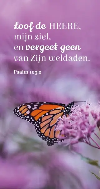 Boekenlegger: Looft de Heere mijn ziel