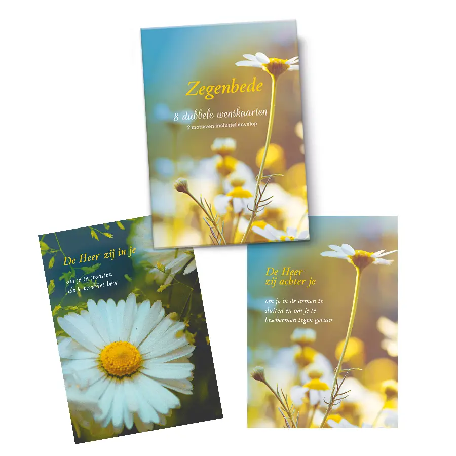 Mapje Notecards Zegenbede ( 2 x 4 )