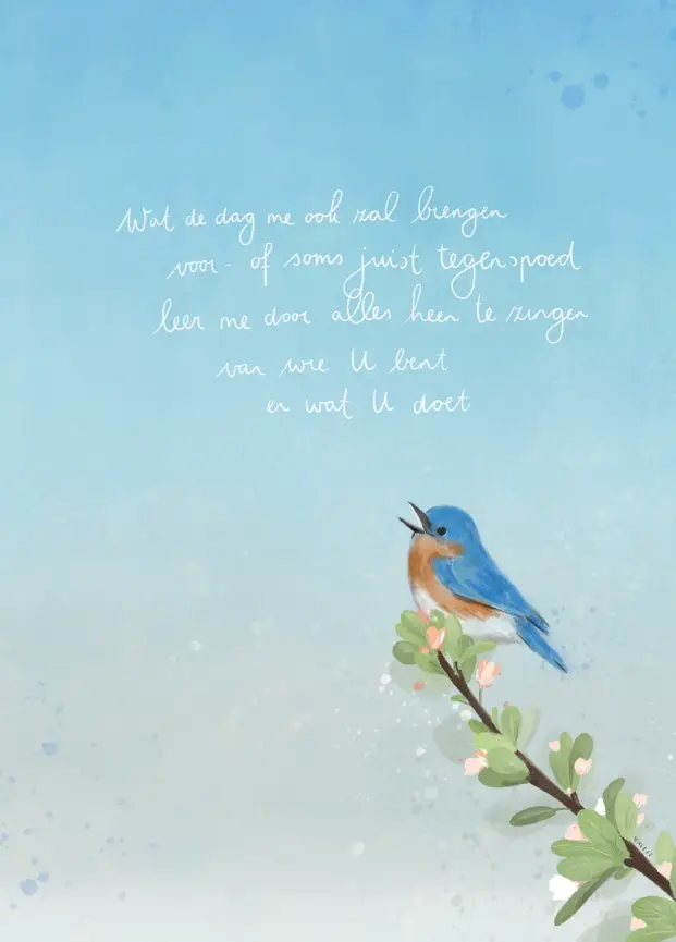 Enkele kaart: Wat de dag me zal brengen