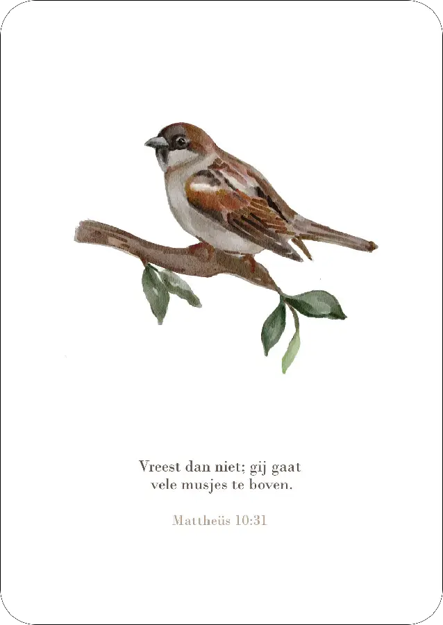 Enkele kaart: Vreest dan niet