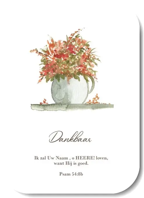 Enkele kaart: Mijn zoon geef Mij uw hart