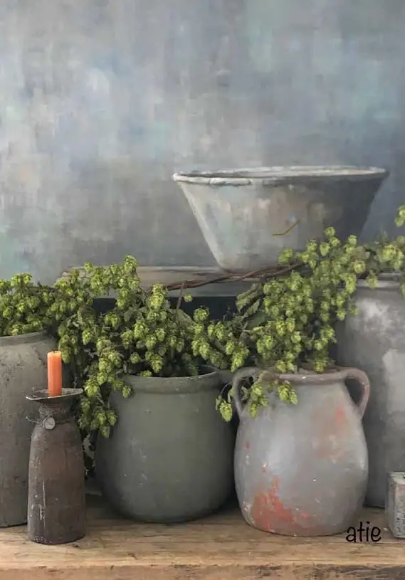 Kaart: A5 Blanco (planten)