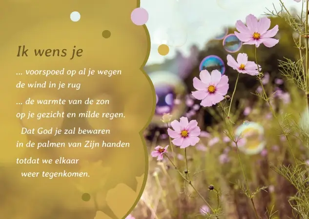 Ansichtkaart A6: Ik wens je