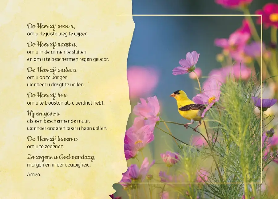 Ansichtkaart A6: Zegen van St. Patrick