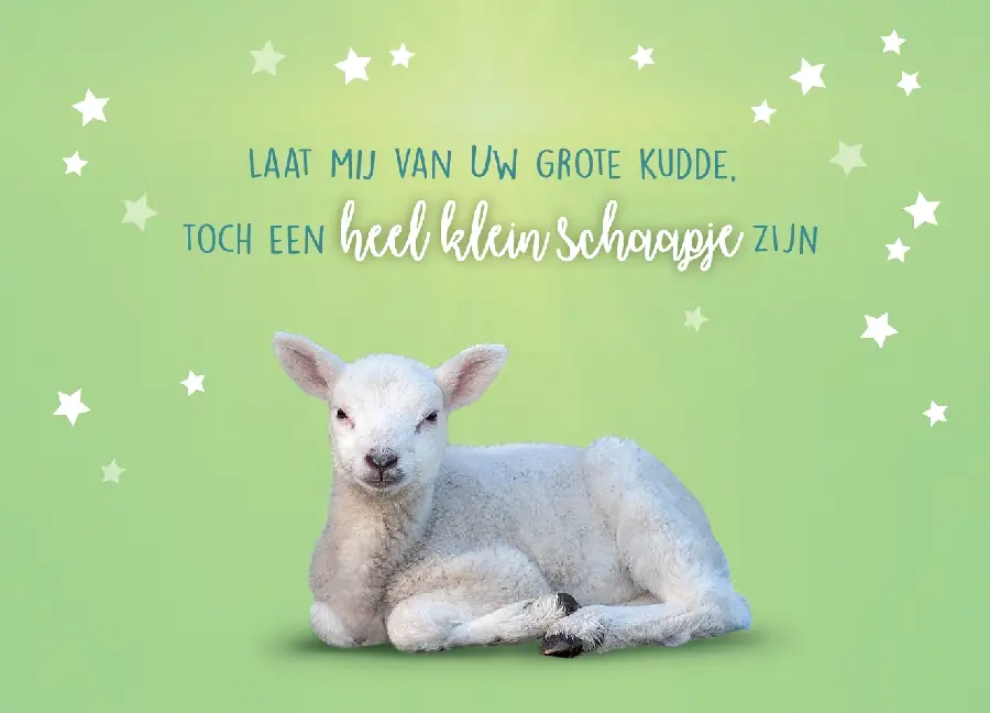 Ansichtkaart A6: Laat mij van uw grote