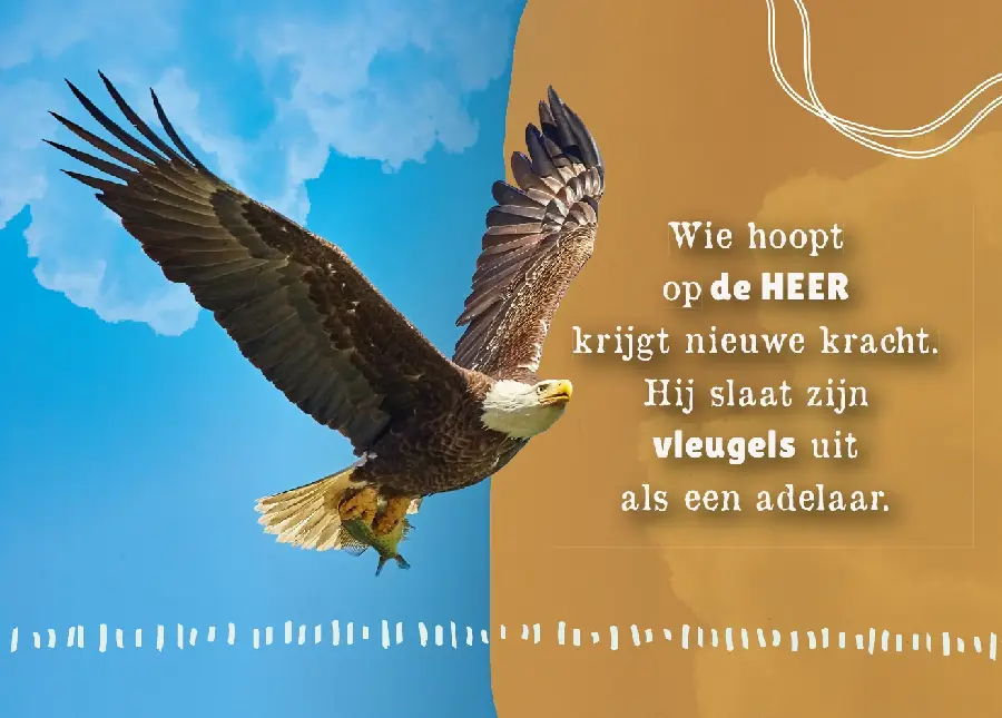 Ansichtkaart A6: Wie hoopt op de Heer