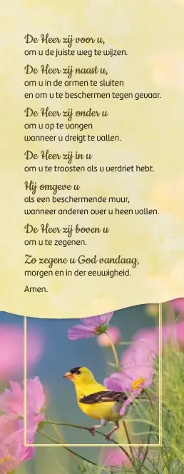 Boekenlegger: Zegen van St. Patrick