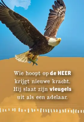 Uitdeelkaartje: Wie hoopt op de Heer