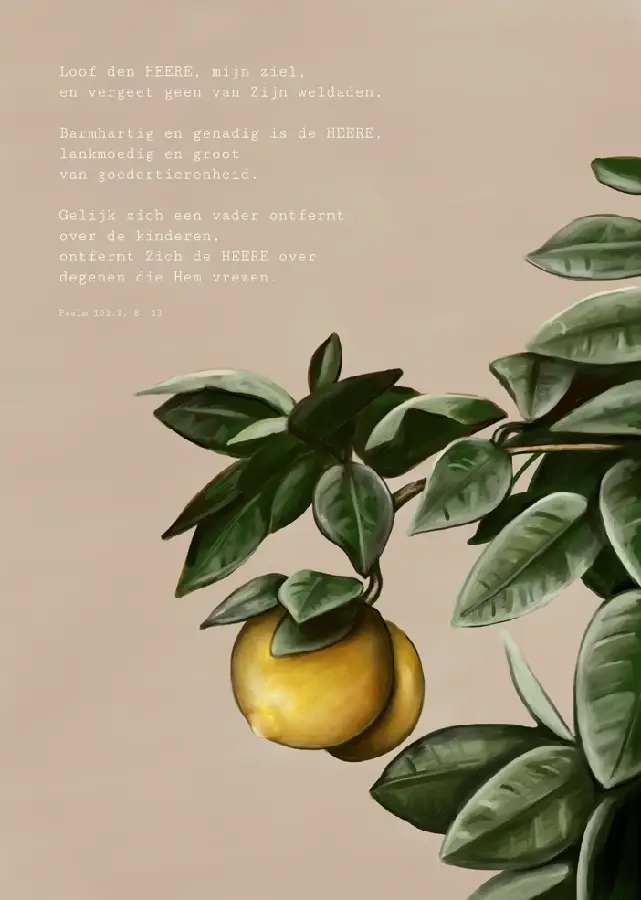 Enkele kaart: Loof den HEERE, mijn ziel