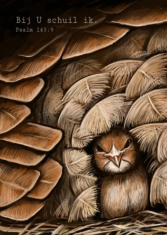 Poster A5: Bij U schuil ik