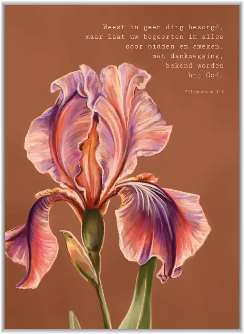 Kaartje A7: Weest in geen ding bezorgd