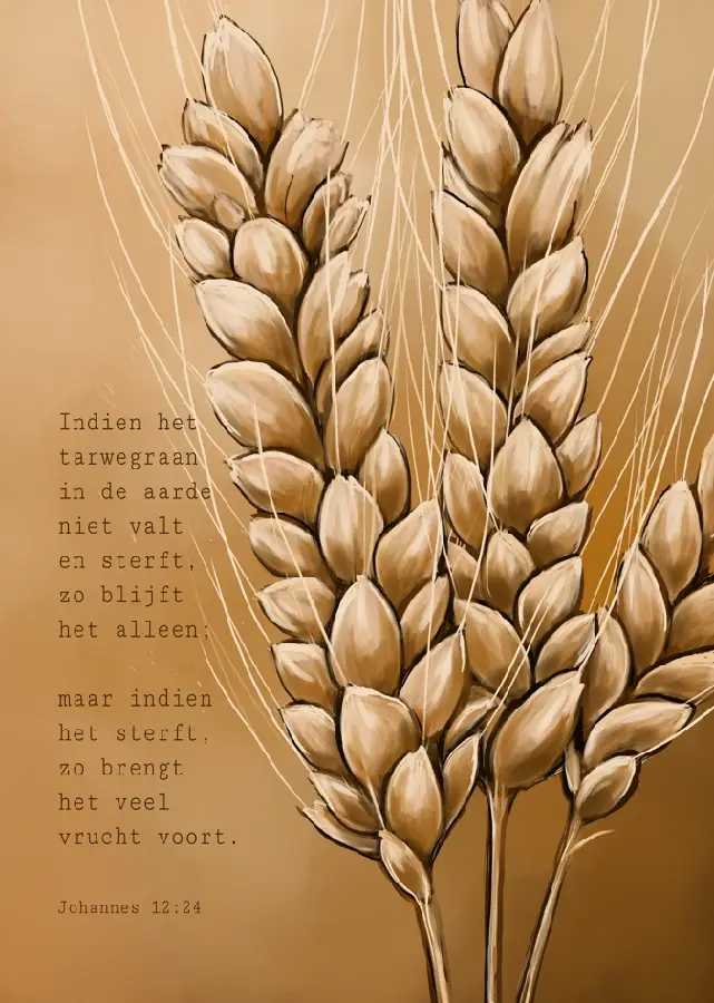 Poster A4: Indien het tarwegraan