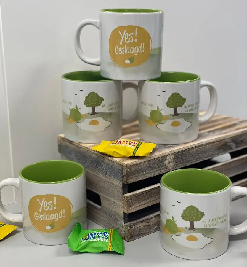 Mok: Yes Geslaagd Appeltje, Eitje